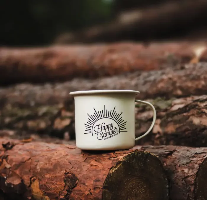 Carrelage imitation bois : une ambiance raffinée