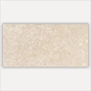 Cement effect ceramic tiles Fossil 60 x 120 Matt